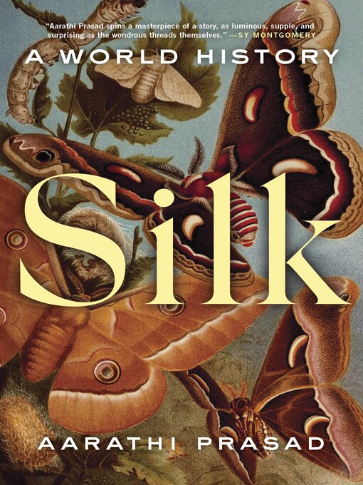 Cover image for Silk